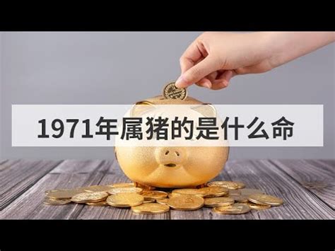 1971是什么年|1971是什么年